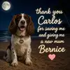 file_00000000efd071f4b08b6afce4067136.webp