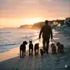 1777800264531.webp