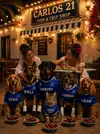 file_00000000aec472469bc703db3f9c6e19.webp