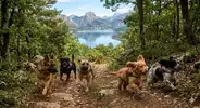 1777893542193.webp