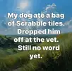 1777976651462.webp