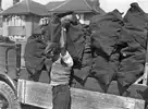coalman.webp