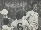 1778193199137.webp