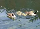 1000017452.webp