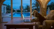 1778447693050.webp