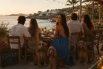 file_000000007d6c724392431dbd35cad203.webp