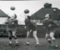 1779021847103.webp