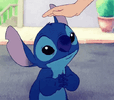 IMG_1360.gif