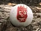 Motherwell handball proof.webp