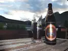 got-coronator.webp