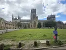 1000023466.webp 1000023466.webp