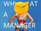 wonder wummin - WAM.webp