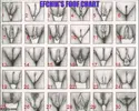 1pf9xz.webp