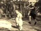 midget.webp
