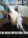 the-satanic-goat-is-going-to-murder-you_o_5533197.webp