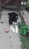 20160906_135810.webp