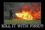 killwithfire.webp