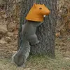 head.webp