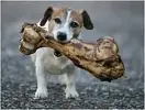 upload_2017-10-18_23-13-32.webp upload_2017-10-18_23-13-32.webp
