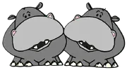 hippos.webp