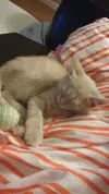 IMG-20171120-WA0002.webp