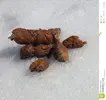dog-poop-clean-snow-top-white-51145790.webp