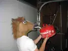 Funny-wtf-horse-mask-gasoline.webp