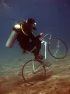 cf9582a21bdea61c2615f120e383c46b--water-bike-breathing-underwater.webp