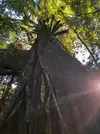 20180618_102959.webp