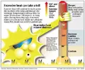 USA-Today-heat-graphic[1].webp