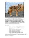 Charlton-coyote-warning[1].webp