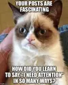 FB_IMG_1531588567368.webp FB_IMG_1531588567368.webp