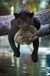 B1cZaNwIgAE7-Ti.jpg large.webp