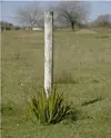 FencePost.webp