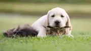 IMG_20141116_192203.webp