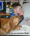 funny-dog-pictures-praying-dog-boy-bed.webp