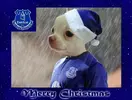 Chieuefc.webp