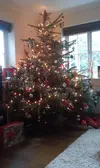 IMAG1181.webp