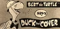 duckandcover_bert_the_turtle_0.webp duckandcover_bert_the_turtle_0.webp