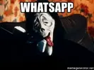 whatsapp.webp