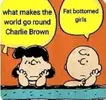 Charlie Brown.webp