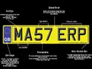 new-style-plate.webp