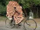 1541707010684.webp