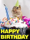 GOT birthday.webp