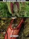 damn-nature-u-scary_o_3237449.webp