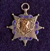 1890-91-medal.webp