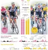 Dumoulin vergelijking.webp