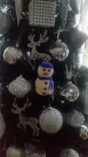 20181225_093618.webp