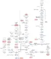 DviOUxMWoAAp_7d.webp