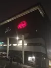 55020